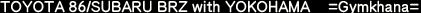DRIVER VOICE