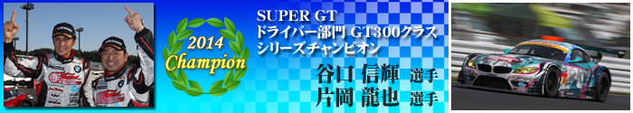 GT300 Class Driver
