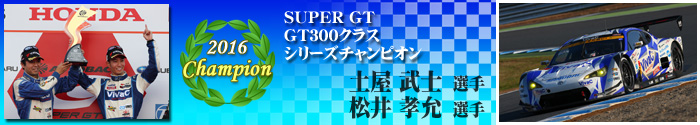 GT300 Class Driver