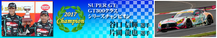 GT300 Class Driver