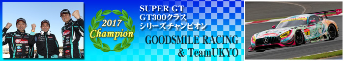 GT300 Class Team