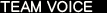 TEAM VOICE
