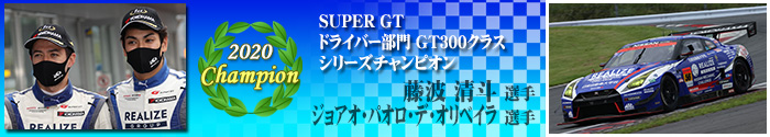 GT300 Class Driver