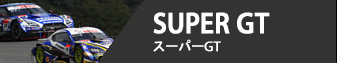 SUPER GT - スーパーGT